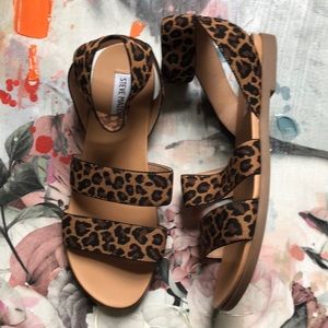 Steve Madden Leopard Sandals